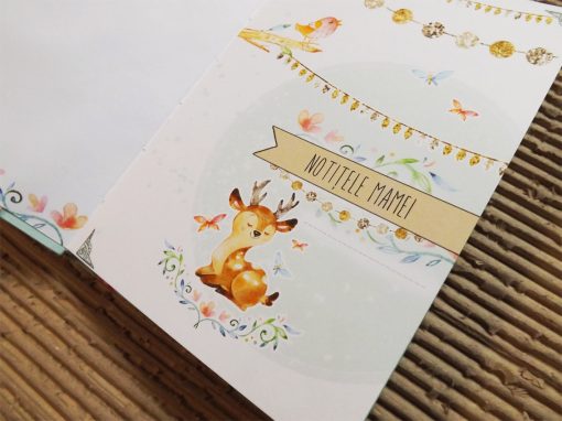 jurnal handmade bebelus 4